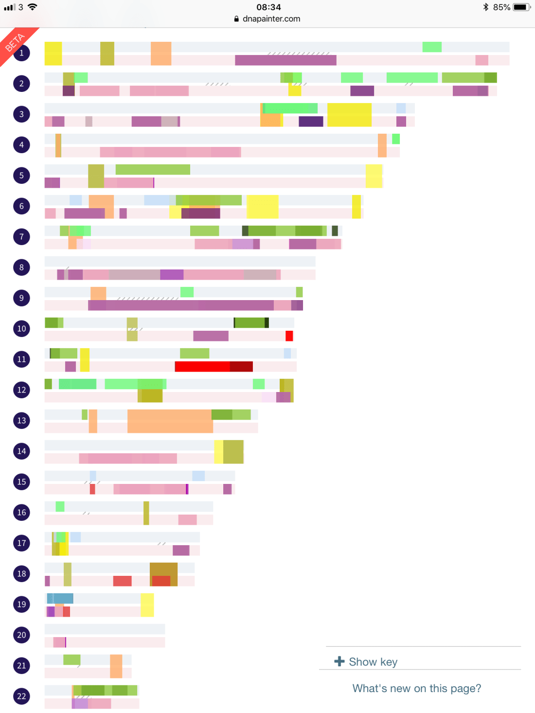 62BA38C8-DC96-4EF2-A4DA-3733F319B511